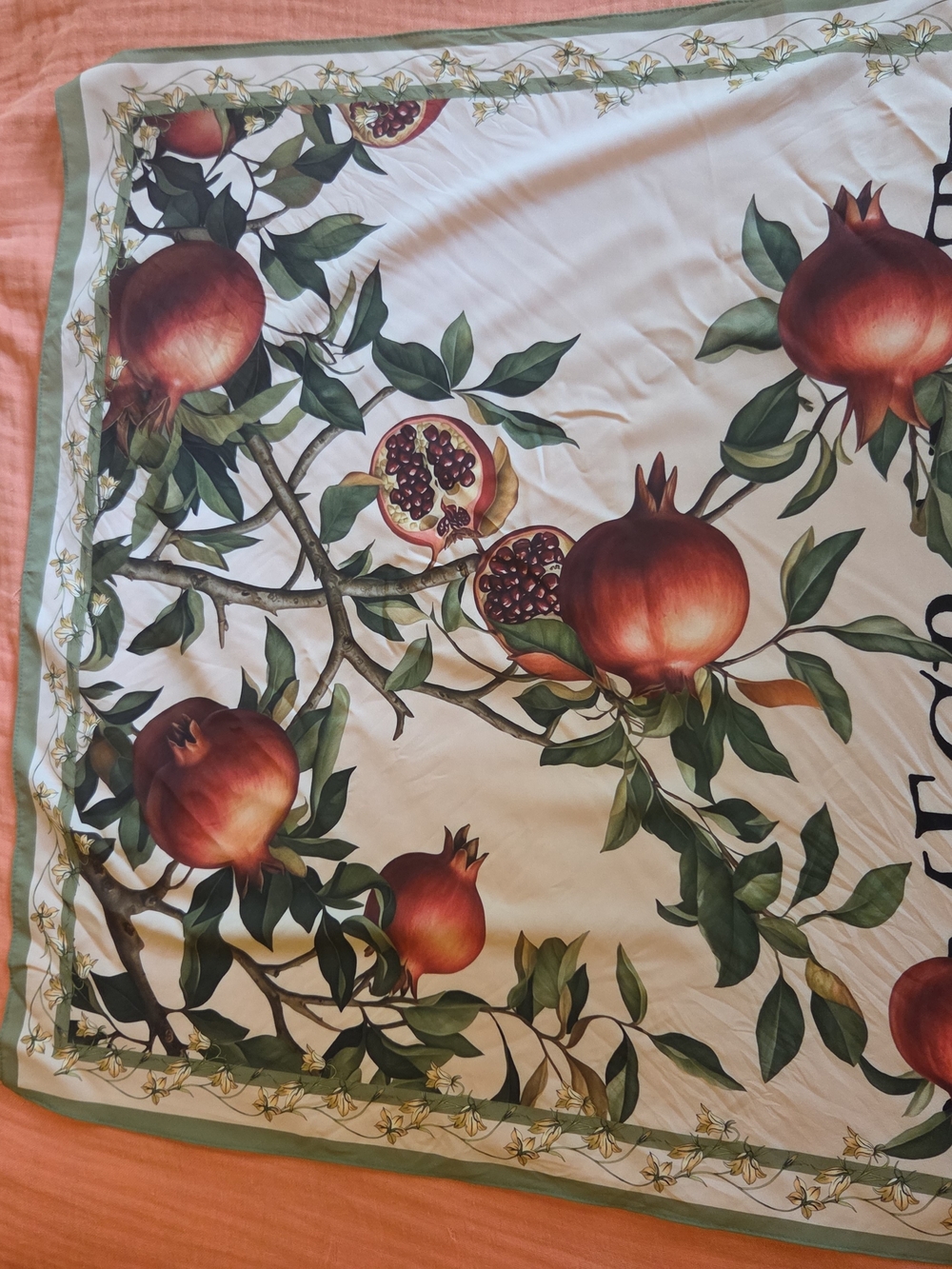 Anthrpologie Botanical Pomegranate Scarf